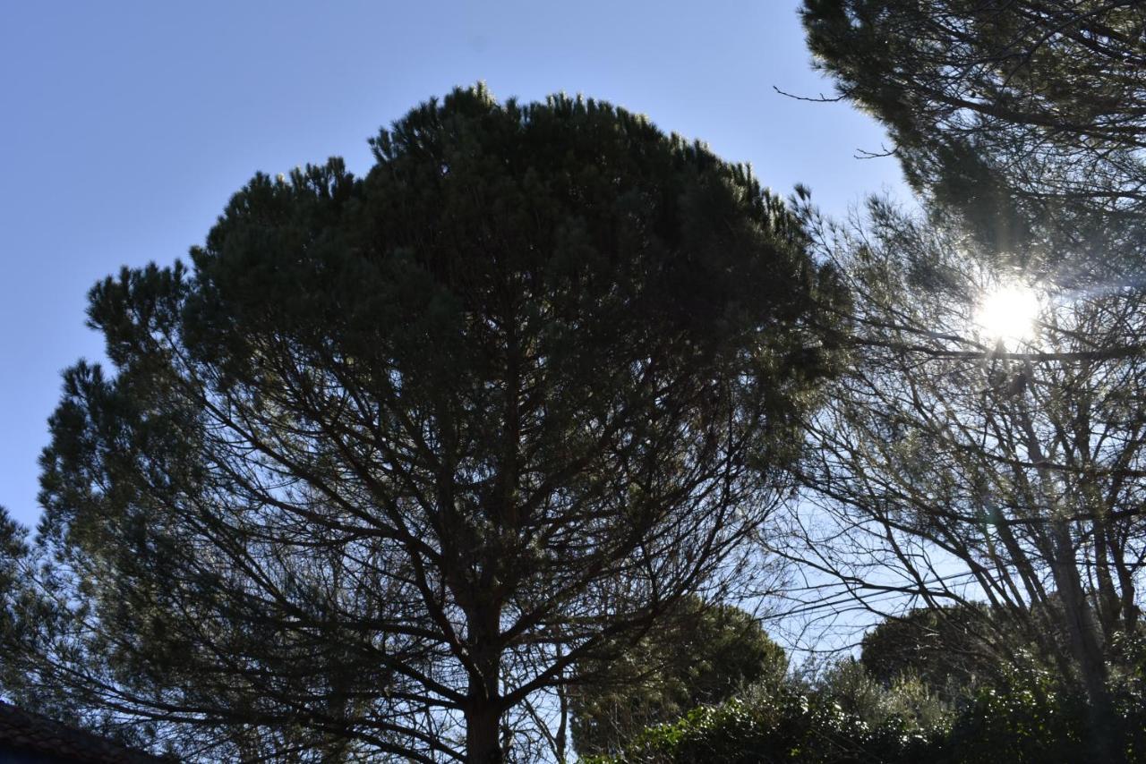 La Casa De Lya Villa Dudar Buitenkant foto
